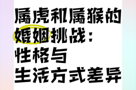虎男龙女婚姻是否长久？从性格到命运的深度解析