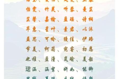 霸气两字名字的选择与寓意解析