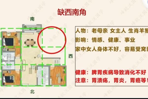 从家居到商铺：风水布局的不同讲究