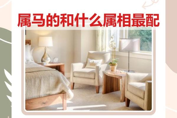 揭秘马羊婚姻的适配性 这两种生肖能走得长远吗 揭秘马羊婚姻的适配性 这两种生肖能走得长远吗