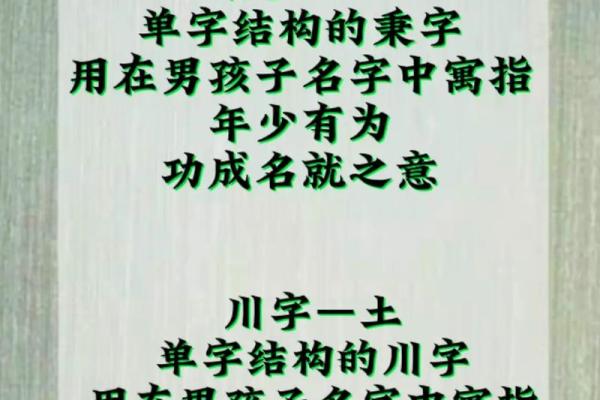 陈姓男孩名字的独特选择与命名技巧