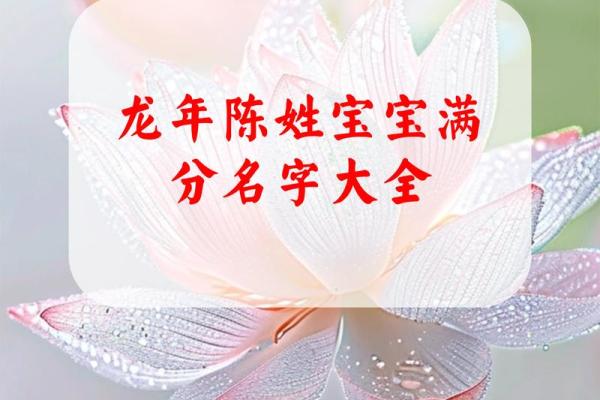 陈姓男孩名字的独特选择与命名技巧