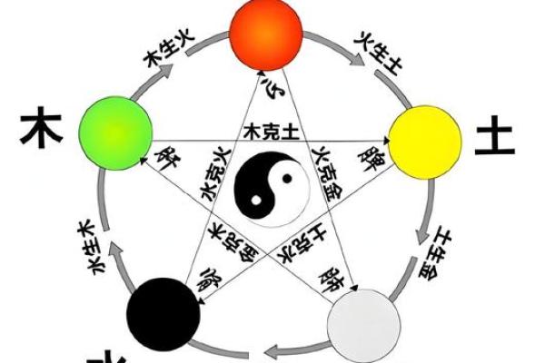 从五行看生肖命运，揭开你人生的财富与健康密码