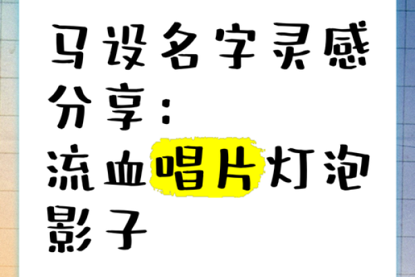 创意十足的摄影工作室名字推荐与灵感分享