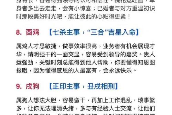 十二生肖运势全解：事业、财运与爱情的全面预判