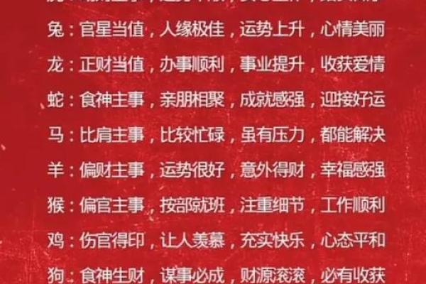 十二生肖运势全解：事业、财运与爱情的全面预判