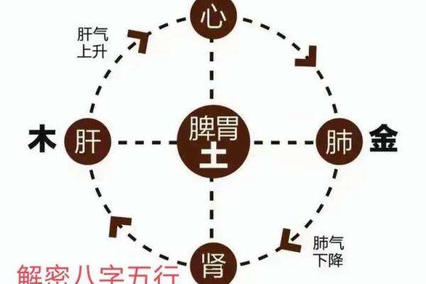 出生的五行属性分析，了解你的命运密码