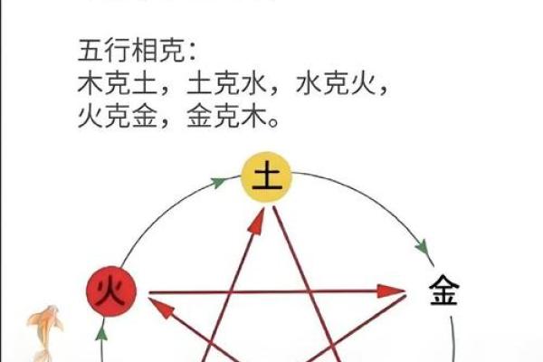 出生的五行属性分析，了解你的命运密码