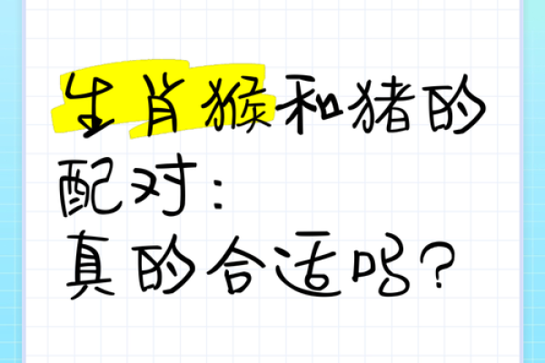 女属龙男属猴是否合适？探索两者的缘分与默契