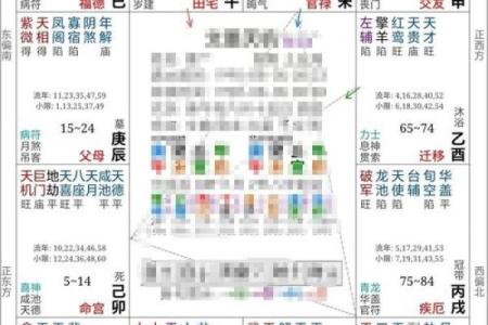 出生的人五行命运分析，解读你的命运密码