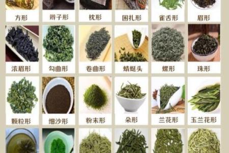 茶的世界：各地茶叶的独特名字与意义