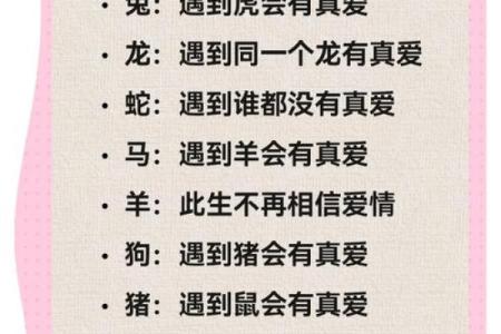 十二生肖运程：事业、爱情与财富大预言