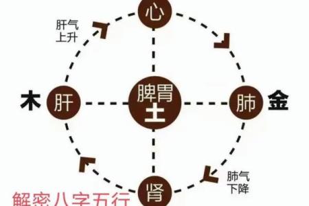 出生的五行属性分析，了解你的命运密码