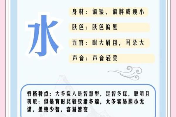 陈磊五行智慧：解读命理中的五行影响力
