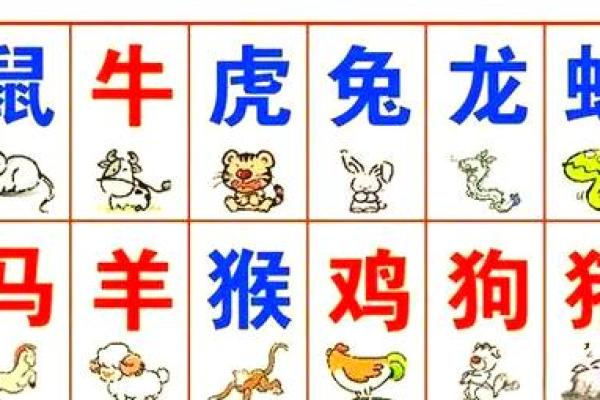 十二生肖运程全面解析