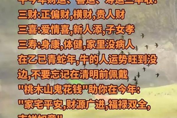 属牛人的全年运势与每月运程详解