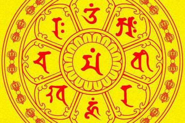 八字计算器在线使用教程：轻松了解你的命运走势