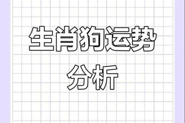 属狗的整体运势分析