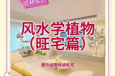 从风水角度看，如何打造最吉利的家居环境