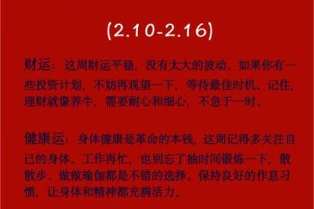 属牛人的全年运势与每月运程详解