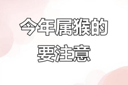 本命年属猴人如何保持工作效率