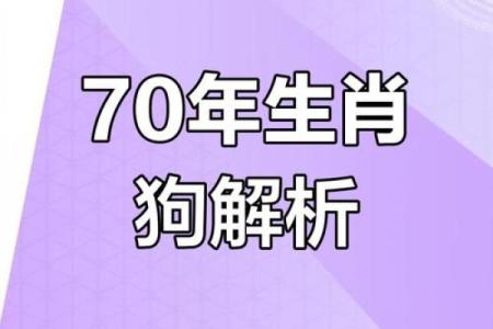 属狗的整体运势分析