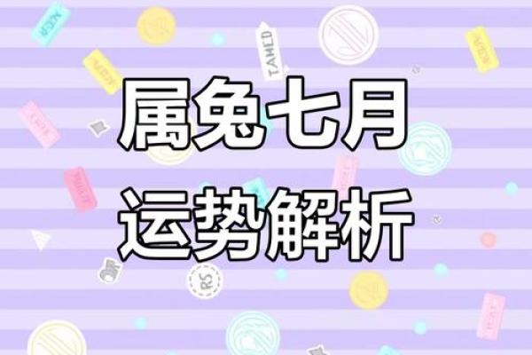 兔子运势逐月分析，掌握每月运程关键