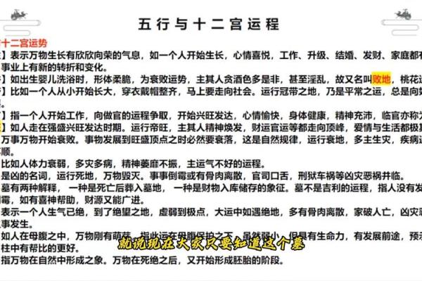 出生的人五行属什么命？了解你的命理运势分析