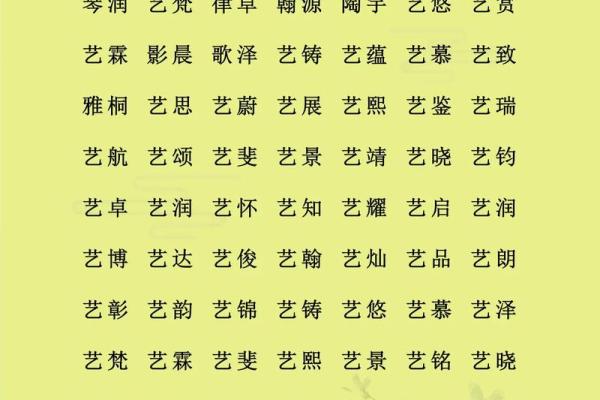 藏族男孩名字的文化含义与取名传统探析