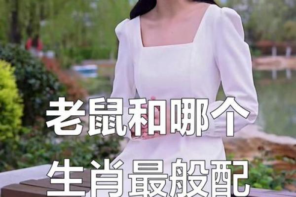 了解鼠与其他生肖的配对关系