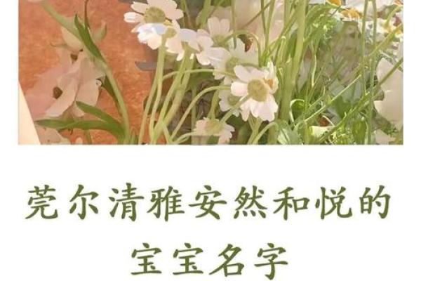 安雅：带安字的洋气女孩名字推荐