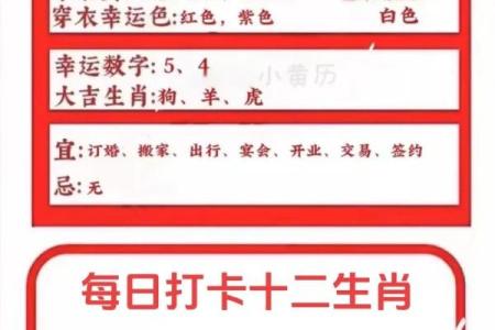 如何通过生肖了解你的十二运程走向