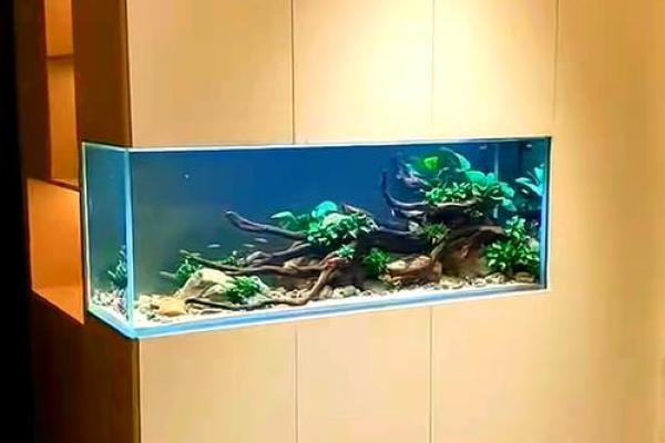 定做家居鱼缸，带来好运与祥和的生活氛围