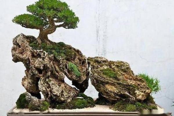 打造和谐家居环境：袁氏家居风水布局的技巧