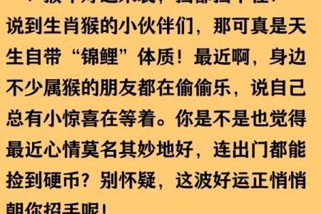 猴运势全面解读：事业、感情与财运预测