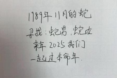 本命年蛇男的心灵疗愈与心理调节