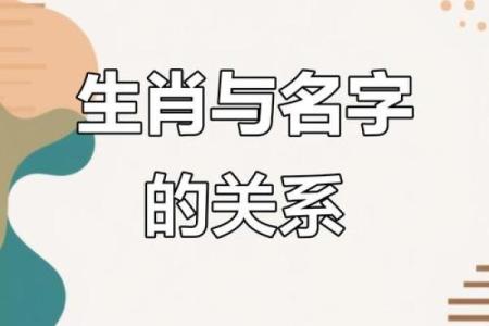 免费猪宝宝起名工具，帮你选出完美名字