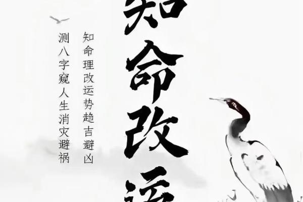 八字歌诀：掌握命运的关键秘诀，轻松解读人生运势