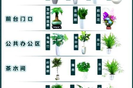 办公室桌椅摆放风水布局助力职场好运的五个秘诀