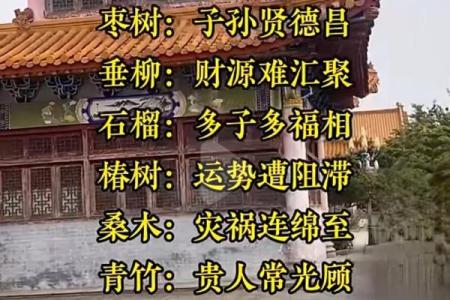 大树与大门的风水关系，如何避免不利影响