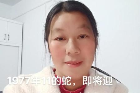 本命年蛇女如何应对情感波动的冲击