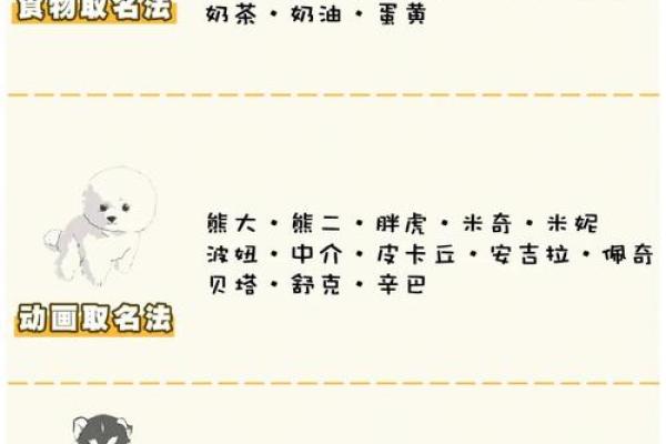 宠物英文名字的创意选择与命名技巧