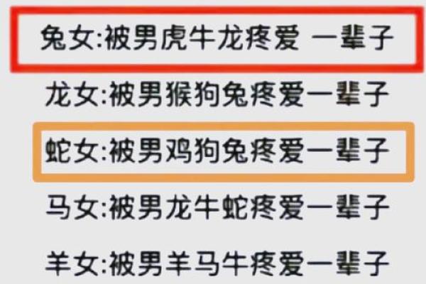 男属兔与女属马的性格互补性探讨