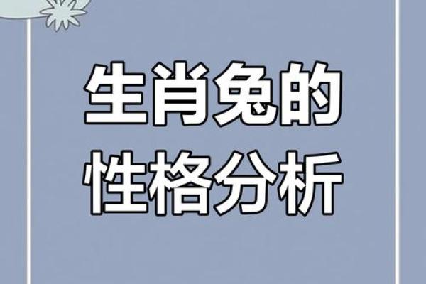 男属兔与女属马的性格互补性探讨