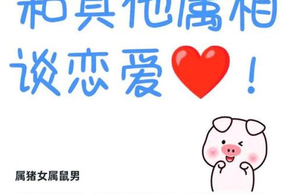 男鼠女猪是否合适的婚配解析