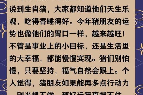 生肖运程大揭秘：属鼠到属猪的运势详解