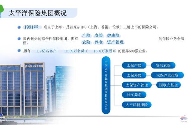 保险公司总监部命名策略与创意指导