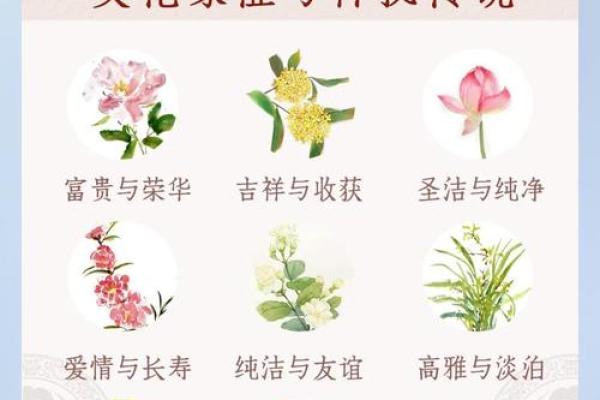 不同文化中的花朵名字与象征意义