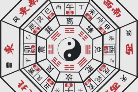大门风水秘诀：打造吉祥开运的家居环境