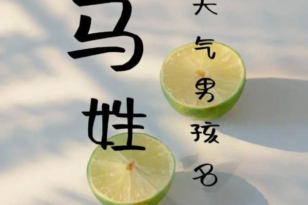 马宝宝起名大全：从传统到现代的最佳选择
